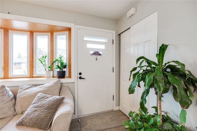 entryway with a healthy amount of sunlight