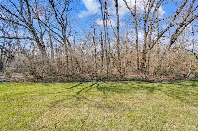 view of yard with a wooded view