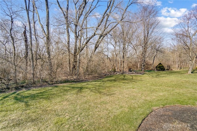 view of yard featuring a forest view