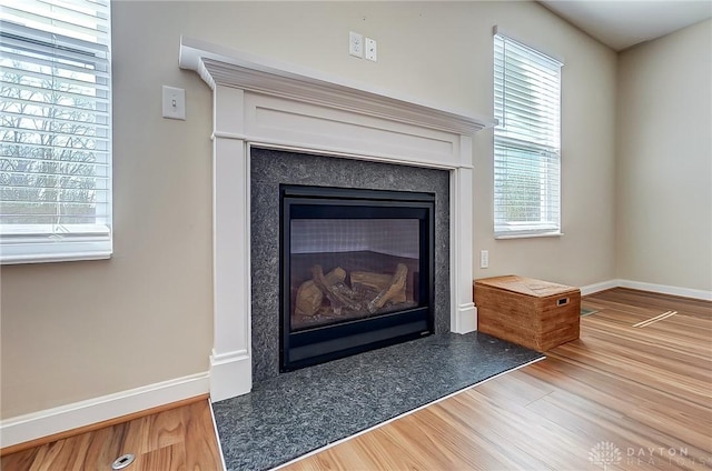 interior details with baseboards, wood finished floors, and a high end fireplace