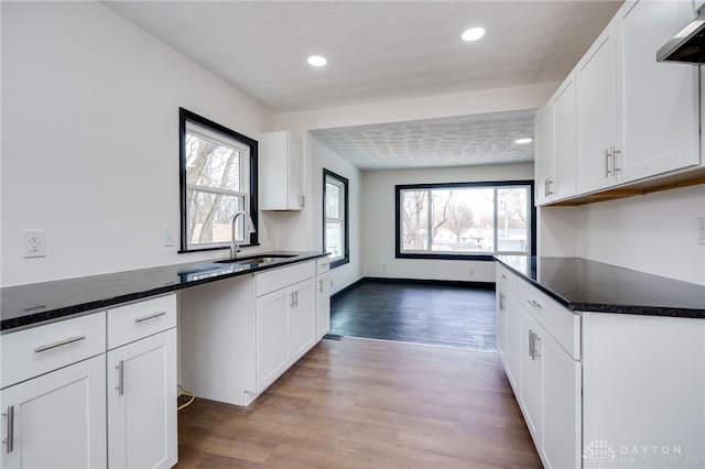 kitchen with white cabinetry, wood finished floors, and a sink