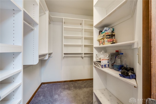 spacious closet with carpet flooring