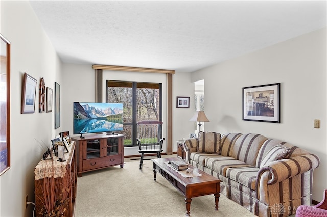 carpeted living area featuring a textured ceiling