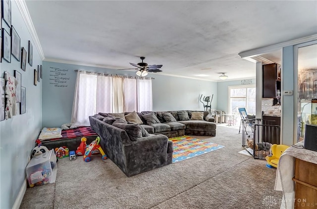 carpeted living room with crown molding and a ceiling fan