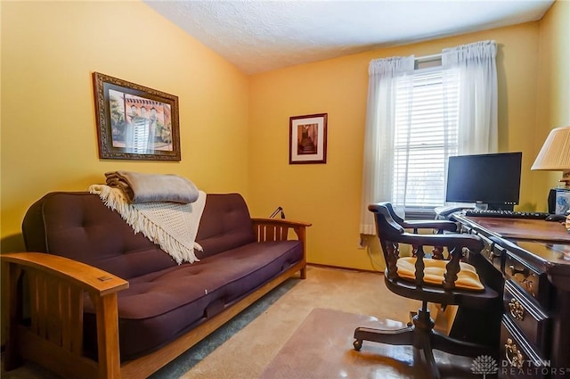 home office with carpet, vaulted ceiling, and a textured ceiling