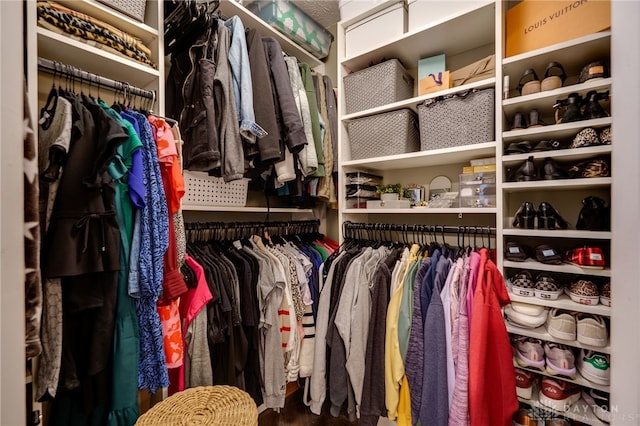 view of walk in closet