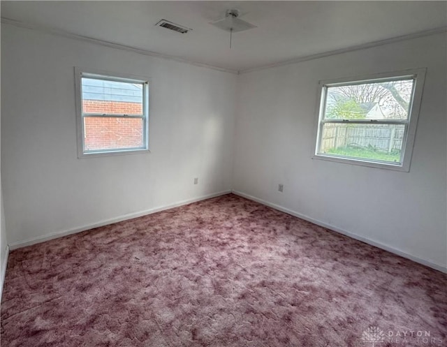 carpeted empty room featuring visible vents, baseboards, a ceiling fan, and ornamental molding