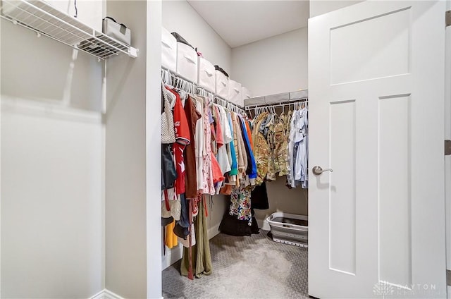 1002 Belfast Dr, Sugarcreek Township, OH 45440 - spacious closet with carpet