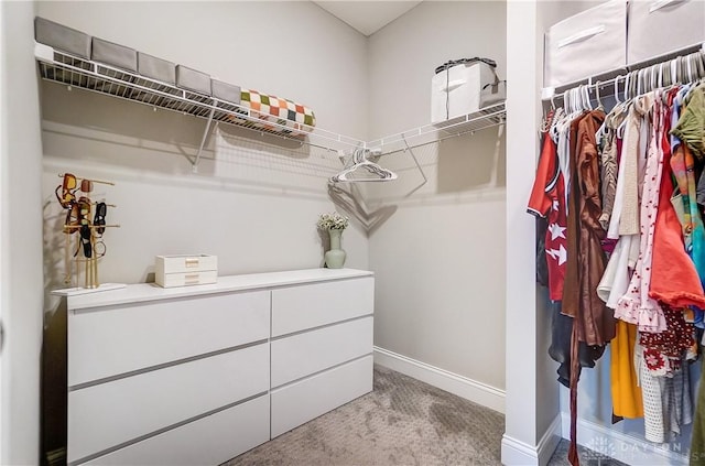 1002 Belfast Dr, Sugarcreek Township, OH 45440 - spacious closet featuring carpet floors