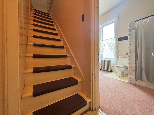 staircase featuring radiator heating unit and carpet floors
