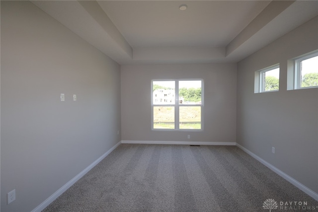 2855 Sky Crossing Dr Unit 50, Beavercreek, OH 45434 - spare room featuring a tray ceiling and carpet flooring