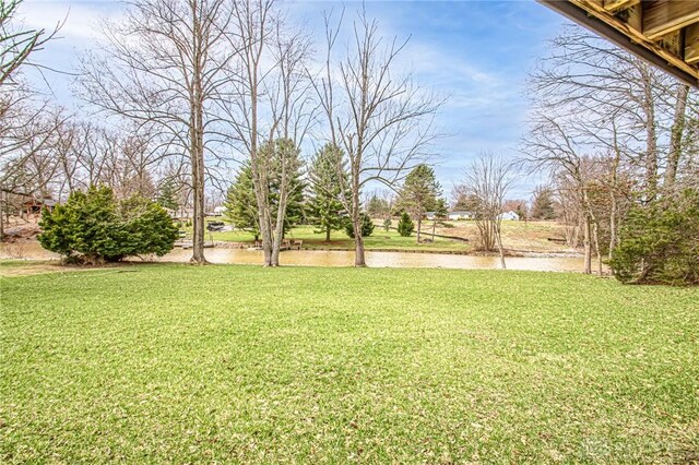 1203 Harz Cv, Fayetteville, OH 45118 - photo 38