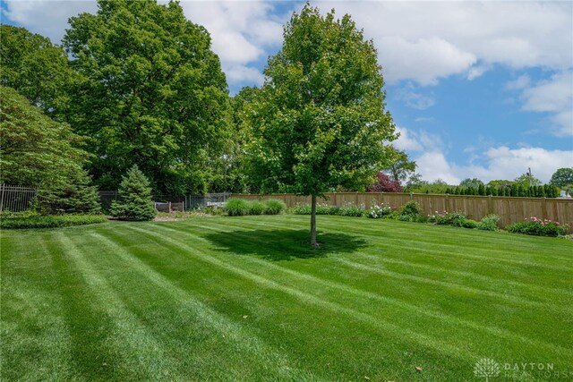 533 Lockerbie Ln, Kettering, OH 45429 - view of yard