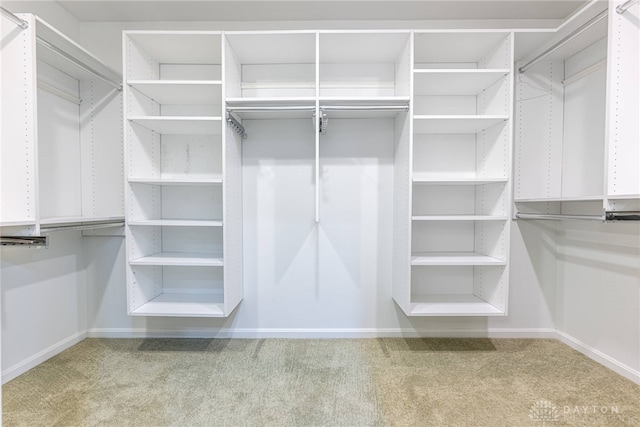 533 Lockerbie Ln, Kettering, OH 45429 - walk in closet featuring carpet flooring