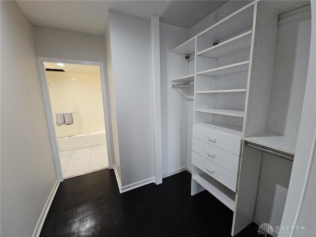 view of walk in closet