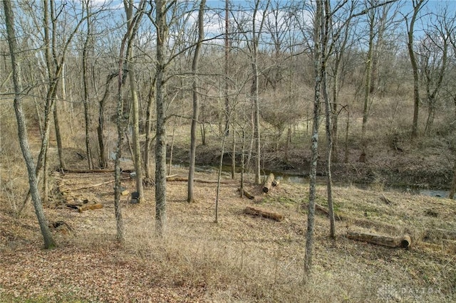 view of nature with a forest view