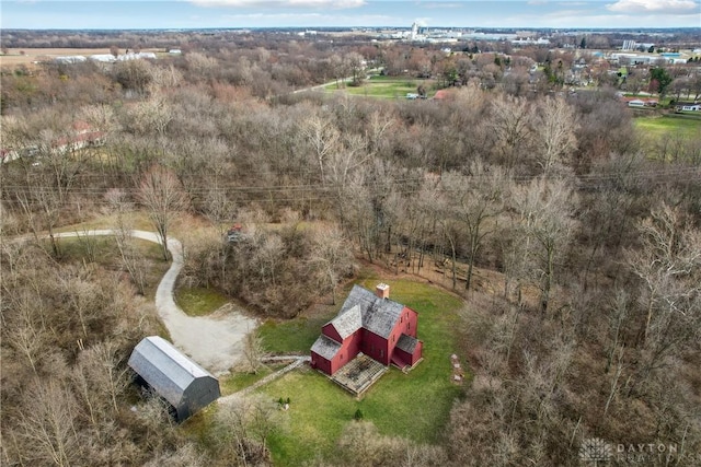 bird's eye view