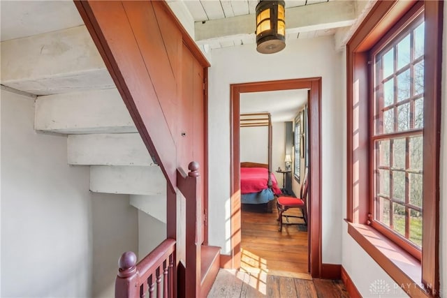 hall featuring baseboards, a healthy amount of sunlight, and wood finished floors