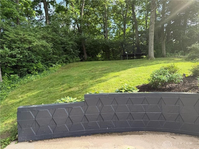 1314 Ridgeview Ave, Dayton, OH 45409 - view of grassy yard