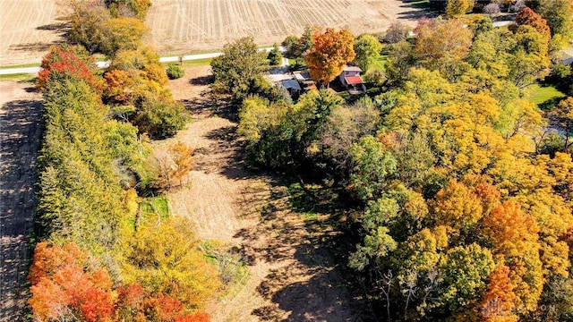 4619 Meredith Rd, Miami Twp, OH 45387 - photo 89
