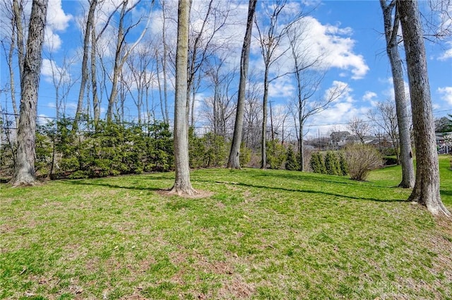 127 W Woodbury Dr, Dayton, OH 45415 - view of yard