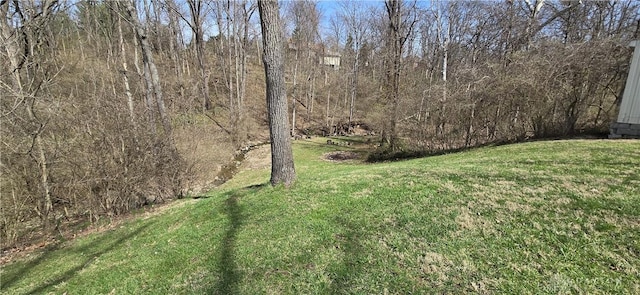view of yard featuring a forest view