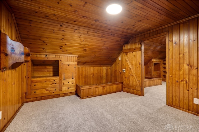1711 Emerson Ave, Dayton, OH 45406 - bonus room featuring carpet floors, wooden ceiling, wood walls, and a sauna