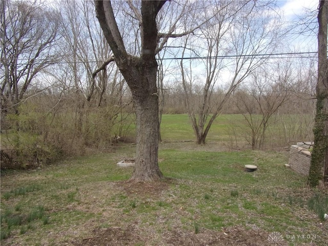 127 New Burlington Rd, Waynesville, OH 45068 - view of yard