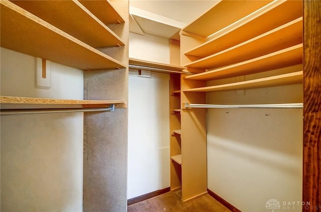 view of walk in closet