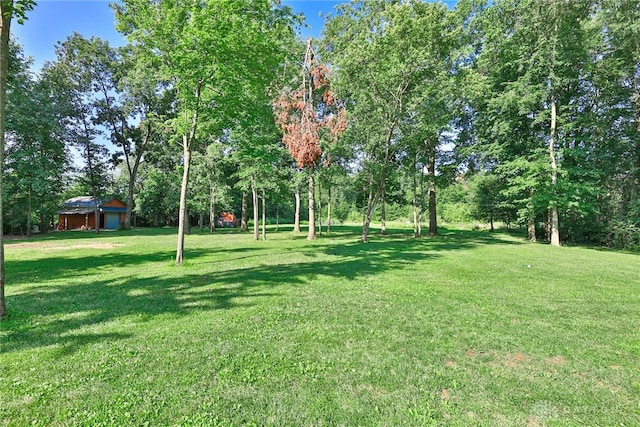 4255 Nicholson Rd, Clarksville, OH 45113 - photo 65