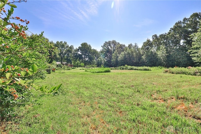 4255 Nicholson Rd, Clarksville, OH 45113 - photo 66