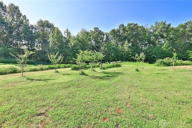 4255 Nicholson Rd, Clarksville, OH 45113 - photo 67