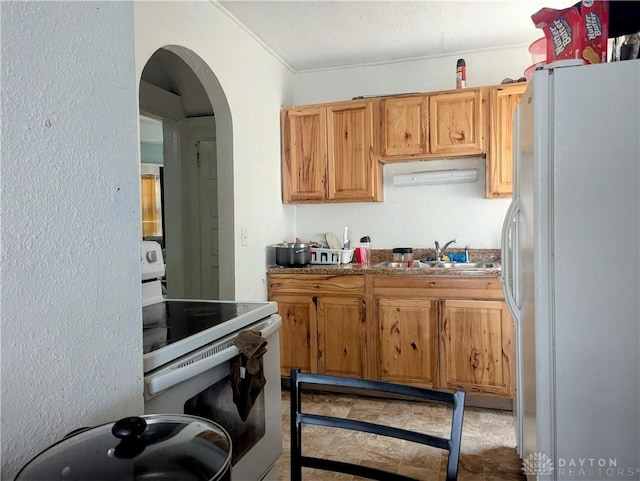 1105 N Fountain, Springfield, OH 45504 - photo 5