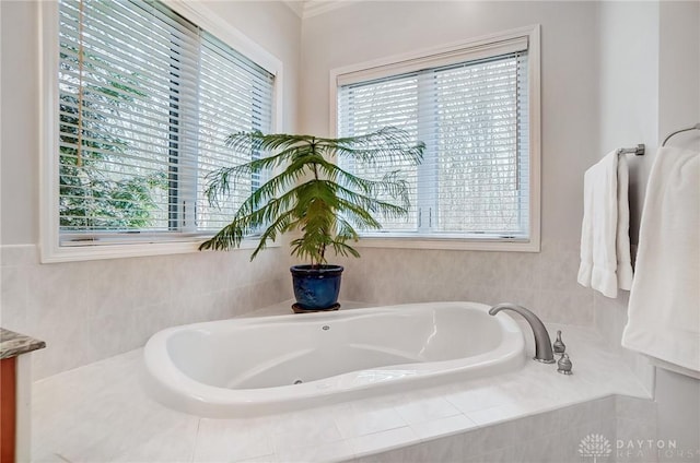 3558 Golden Fox Trl, Lebanon, OH 45036 - full bathroom with a wealth of natural light and a garden tub