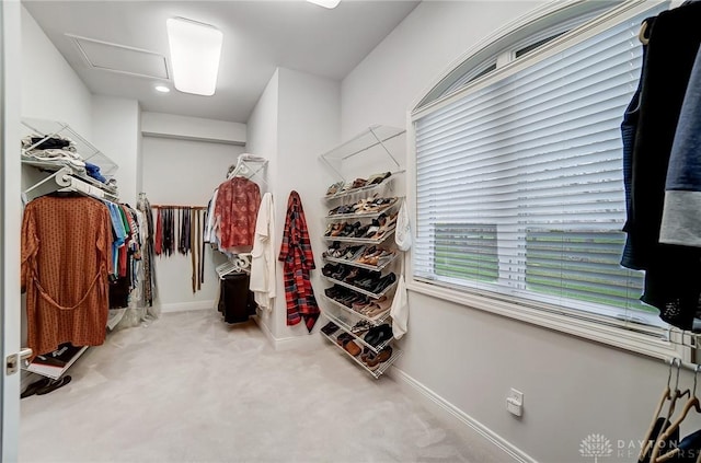 3558 Golden Fox Trl, Lebanon, OH 45036 - spacious closet with attic access and carpet flooring