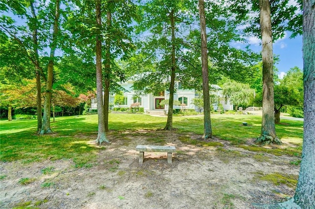 3558 Golden Fox Trl, Lebanon, OH 45036 - view of yard