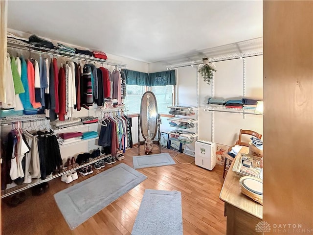 spacious closet with hardwood / wood-style flooring