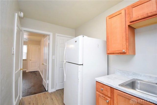kitchen with light countertops, a sink, light wood-style floors, and freestanding refrigerator