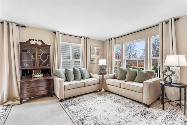 living room with carpet
