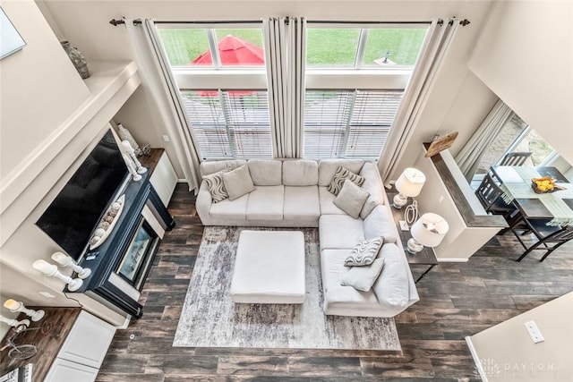 living room featuring wood finished floors, a wealth of natural light, and a fireplace