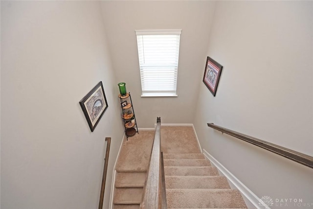 staircase featuring baseboards and carpet