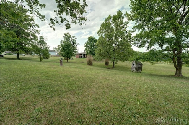 view of yard with a shed and an outbuilding