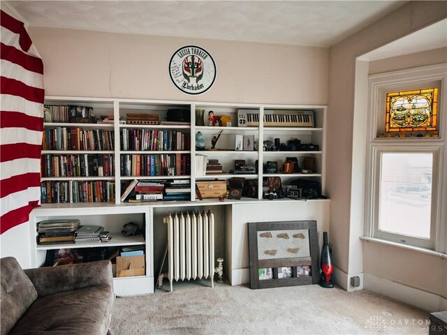 1400 E 3rd St, Dayton, OH 45403 - sitting room with radiator heating unit and carpet flooring