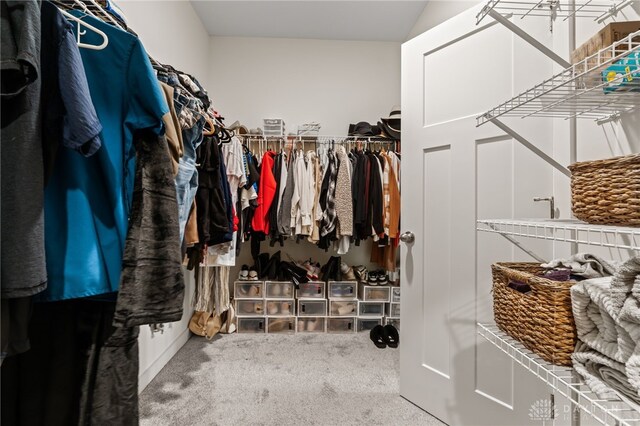 3059 Canvasback Ct, Franklin Twp, OH 45005 - walk in closet featuring carpet floors