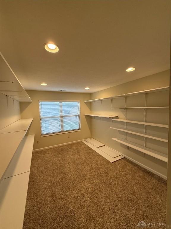 walk in closet featuring carpet floors