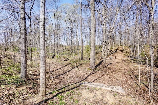 4052 N US Route 127, Eaton, OH 45320 - photo 59