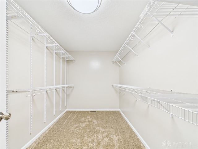 walk in closet featuring carpet