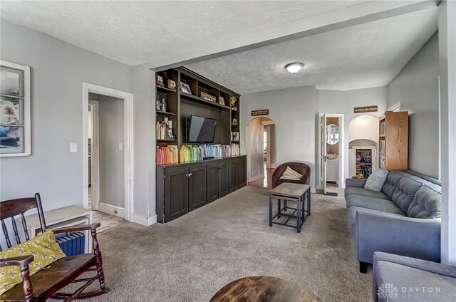 357 High St, Wilmington, OH 45177 - carpeted living area with baseboards, arched walkways, and a textured ceiling