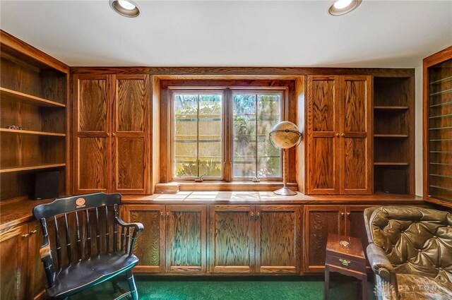 4600 Brown Rd, Sugarcreek Township, OH 45440 - office area featuring built in shelves