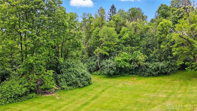 4600 Brown Rd, Sugarcreek Township, OH 45440 - view of grassy yard featuring a view of trees